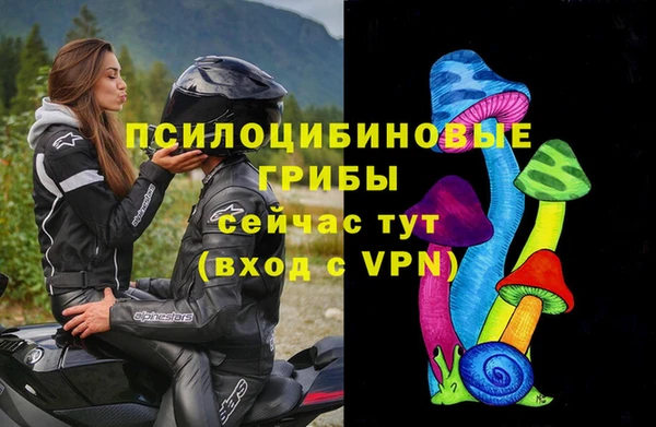 МДПВ Горняк