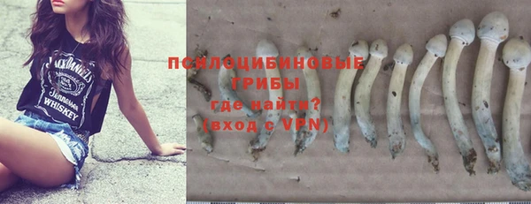 a pvp Горнозаводск