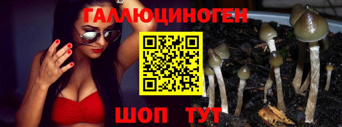 Галлюциногенные грибы ЛСД  купить  цена  Псилоцибиновые грибы Psilocybine cubensis  Видное 