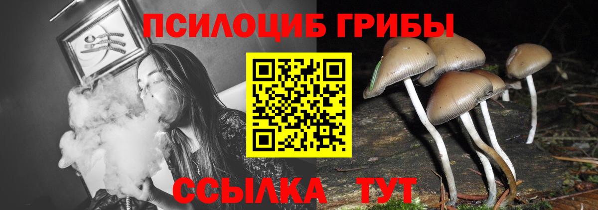 Псилоцибиновые грибы Psilocybine cubensis  Галлюциногенные грибы Magic Shrooms  Вход с VPN  Видное 