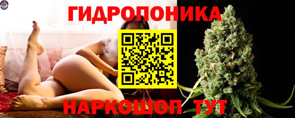 Конопля Bruce Banner Видное